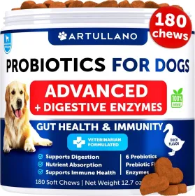 Probiotics For Dogs Support Gut Health Itchy Skin Allergies Immunity Yeast Balance Probiotics And Digestive Enzymes