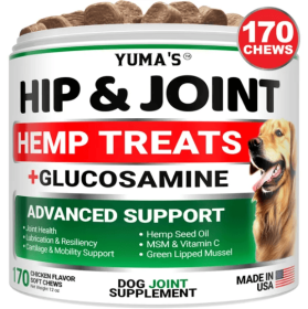 Hemp Hip And Joint Supplement For Dogs Joint Pain Relief With MSM Advanced Joint Supplement Health Glucosamine For Dogs Chews