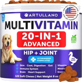 20 in 1 Dog Multivitamin Chews with Glucosamine Joint Support