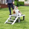 Wooden Dog Training Platform Board with Ladder, Pet Agility System for Indoor Outdoor, Gray