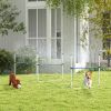 6 Piece Dog Agility Training Equipment Set with 3 Hurdles, Spray Water Tube, Whistle, Carry Bag, White