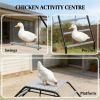 Chicken coop, used for backyard and farm