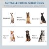 **Large Elevated Pet Feeder with Storage Base 2 Stainless Steel Bowls**