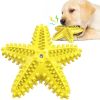 Dog Toy Molar Stick Leaking Food Dog Toothbrush