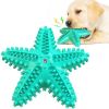 Dog Toy Molar Stick Leaking Food Dog Toothbrush