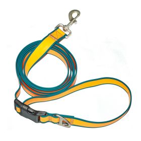 **6 in 1 Hands Free Dog Leash Adjustable Multifunction Training Lead** (Color: Orange-blue)