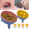Raised Tilted Cat Food Bowl Elevated Water Dish for Small Pets