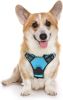 Dog Harness; No-Pull Pet Harness with 2 Leash Clips; Adjustable Soft Padded Dog Vest; Reflective No-Choke Pet Oxford