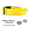 LED Glowing Dog Collar Rechargeable Luminous Collar Adjustable for Small Dogs Cat