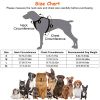 Dog Harness Rechargeable LED Dog Harness No Pull Lighted Dog Vest with Handle