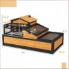 Turtle Cage/ Tortoise House