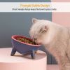 Raised Tilted Cat Food Bowl Elevated Water Dish for Small Pets