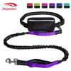Hands Free Dog Leash with Zipper Pouch; Dual Padded Handles and Durable Bungee for Walking