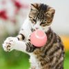 Pet Toy  Automatic Rotating Cat Teasing Ball
