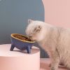Raised Tilted Cat Food Bowl Elevated Water Dish for Small Pets