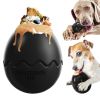 Large Dog Toy Dinosaur Eggs Fillable Slow Feeder Chew Interactive