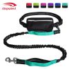 Hands Free Dog Leash with Zipper Pouch; Dual Padded Handles and Durable Bungee for Walking
