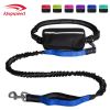 Hands Free Dog Leash with Zipper Pouch; Dual Padded Handles and Durable Bungee for Walking